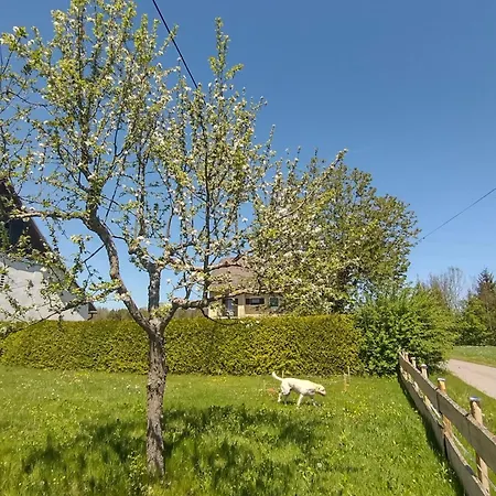 Nepo Apartment Peratschitzen