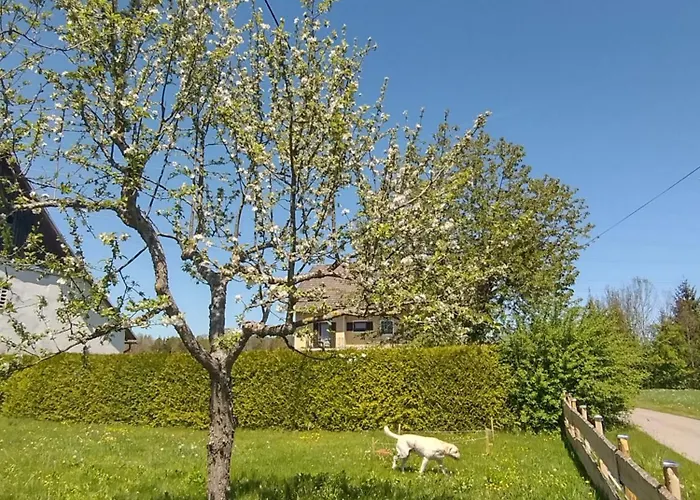 Nepo Apartament Peratschitzen